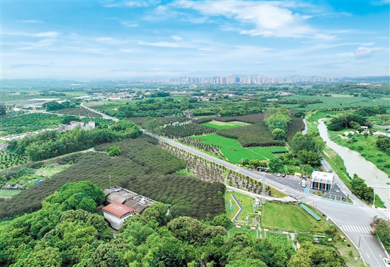 縣道X801線(xiàn)橫跨四九鎮(zhèn)南北，連通四九片、五十片兩個(gè)中心。