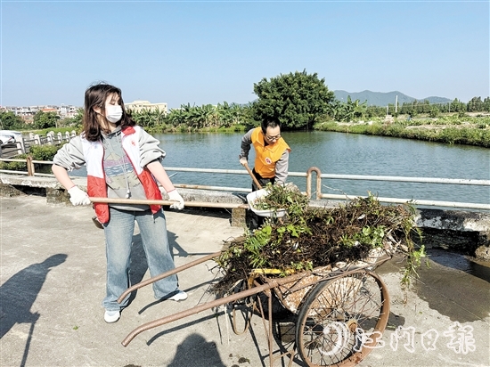 當(dāng)天，黨員干部、志愿者與群眾共同投身于一場(chǎng)清潔行動(dòng)。