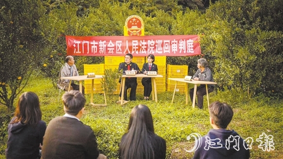 會城法庭干警就一起隨意傾倒柑肉致相鄰種植戶柑樹受損案進行巡回審判。