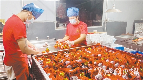 赤水鎮(zhèn)依托麻鴨養(yǎng)殖傳統(tǒng)優(yōu)勢(shì)，錨定“精深加工”做文章。