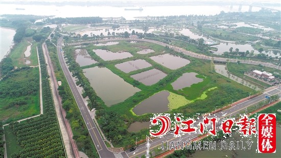 蓬江18號(hào)地實(shí)景圖。