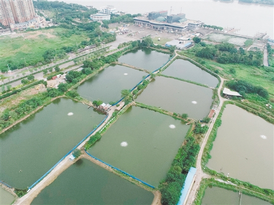 臨江路與金甌路交界西南側(cè)地塊位于外海港澳碼頭西側(cè)。